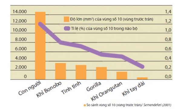 Độ lớn vùng số 10