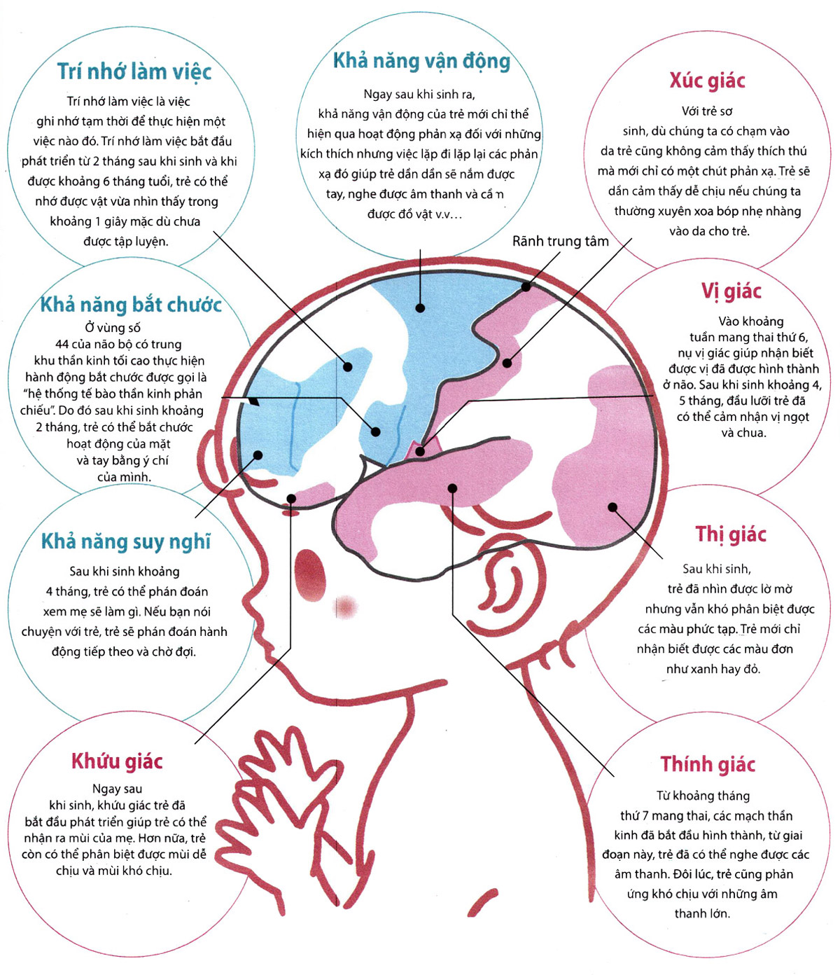 Não bộ của trẻ em