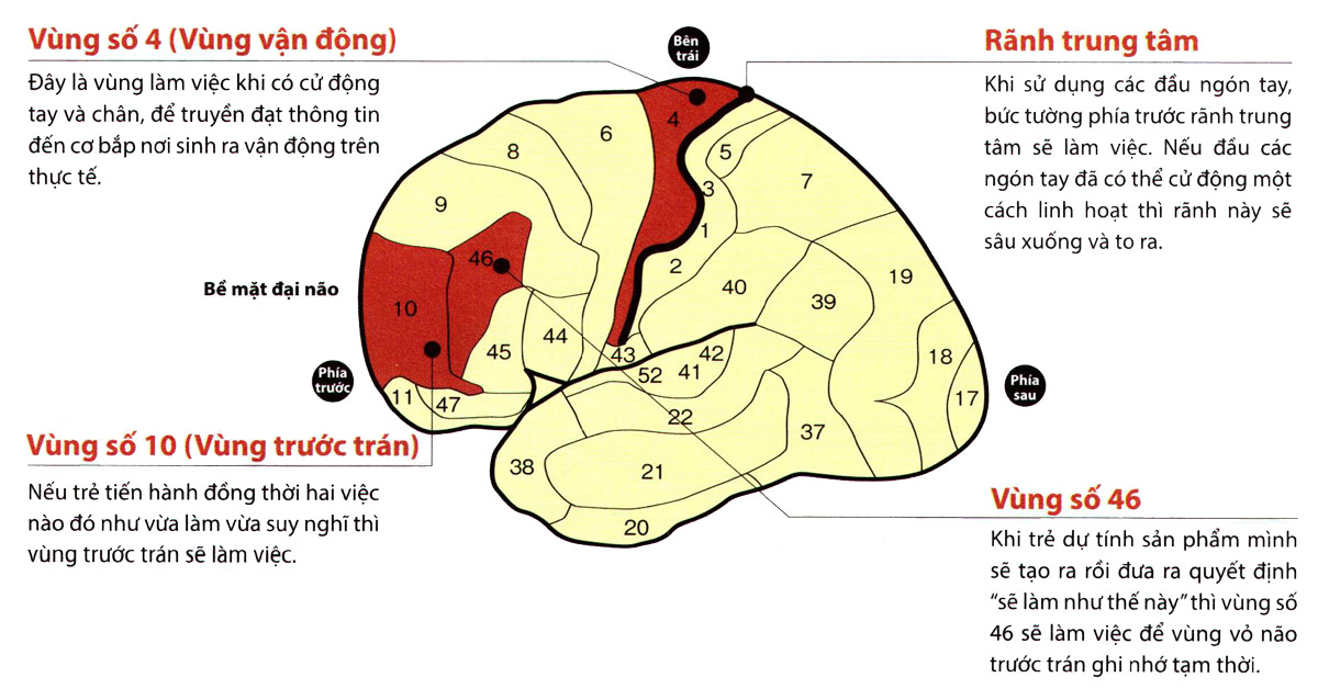 hệ thống cảm giác