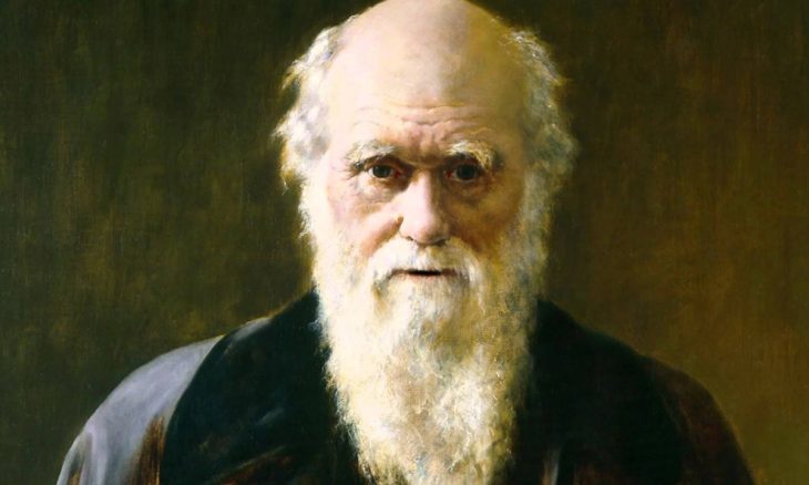 Darwin